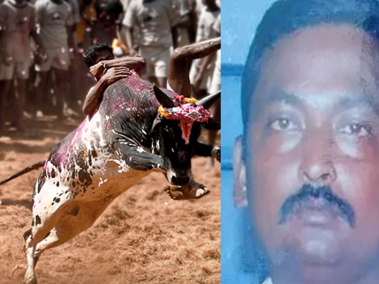 ஜல்லிகட்டு காளை ஆட்டுக்குட்டி போல உள்ளது என கிண்டல் செய்ததால் கொலை!