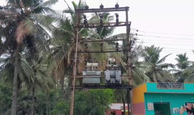 போலிஸ் கைதுக்கு பயந்து டிரான்பார்மரில் ஏறிய வாலிபர்!