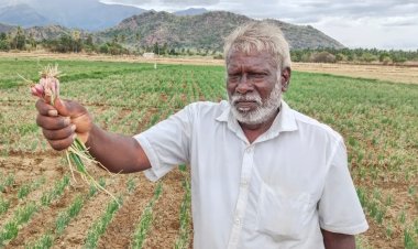 டிரான்ஸ்பார்மரை சீராக்க 20 ஆயிரல் லஞ்சம் கேட்கும் மின் அதிகாரிகள்! விவசாயிகள் வேதனை!