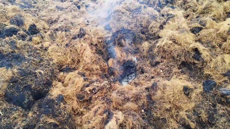 நார் தொழிற்சாலை திடீரென நள்ளிரவு தீ!