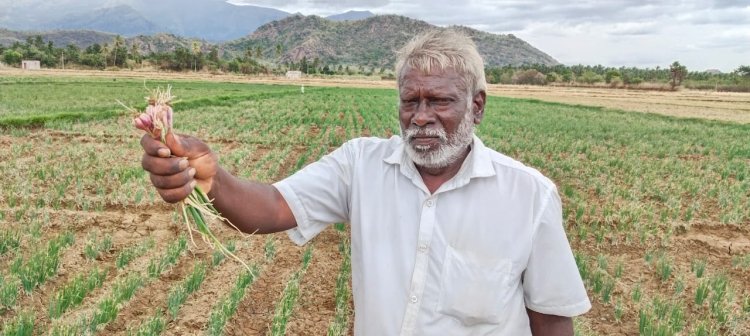 டிரான்ஸ்பார்மரை சீராக்க 20 ஆயிரல் லஞ்சம் கேட்கும் மின் அதிகாரிகள்! விவசாயிகள் வேதனை!