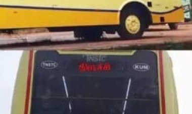 மஞ்சள் கலர் ஜிங்குச்சா!