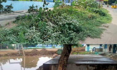 ஆட்சியரின் அலட்சியத்தால் பறிபோகும் பட்டியலின மாணவர்களின் கல்வி!