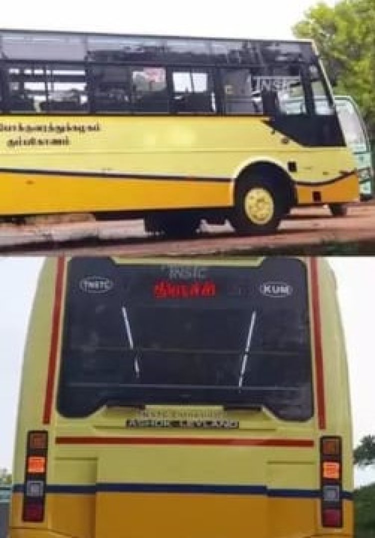 மஞ்சள் கலர் ஜிங்குச்சா!