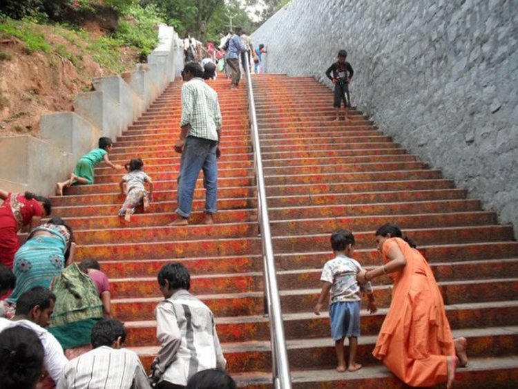 வனவிலங்குகளின் நடமாட்டம் குறையும் வரை திருப்பதியில் புதிய நடைமுறை!