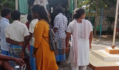 விஷ குலவி கொட்டி இருவர் கவலைக்கிடம்!