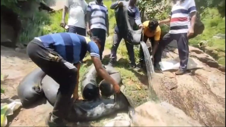 சார் ஒரு டவுட்டு! பச்ச தண்ணியா!? சாராயமா?