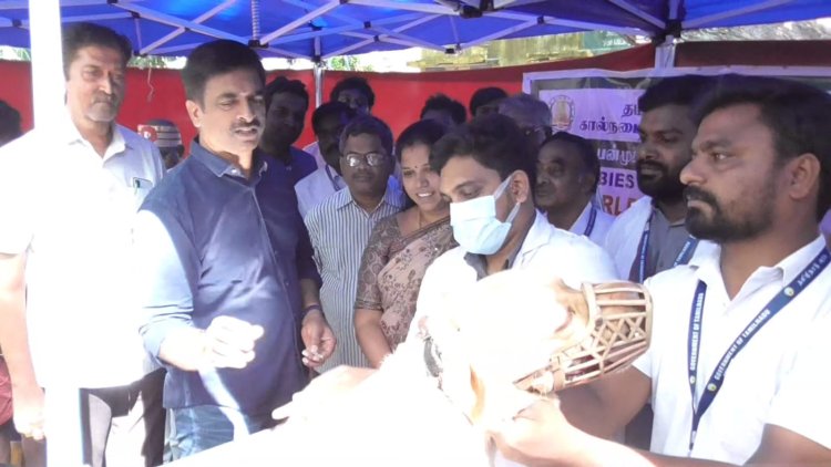 வெறி நோய் தினத்தை முன்னிட்டு கால்நடைகளுக்கு தடுப்பூசி!
