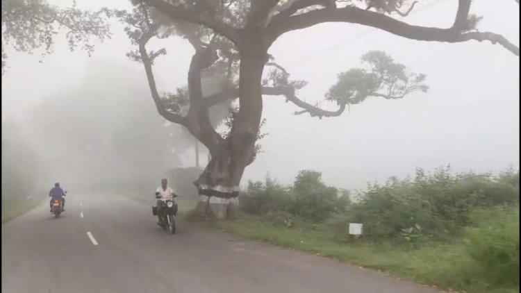 வேலூர் மாவட்டத்தில் மூடுபணியும் கடும் வெயிலும்!