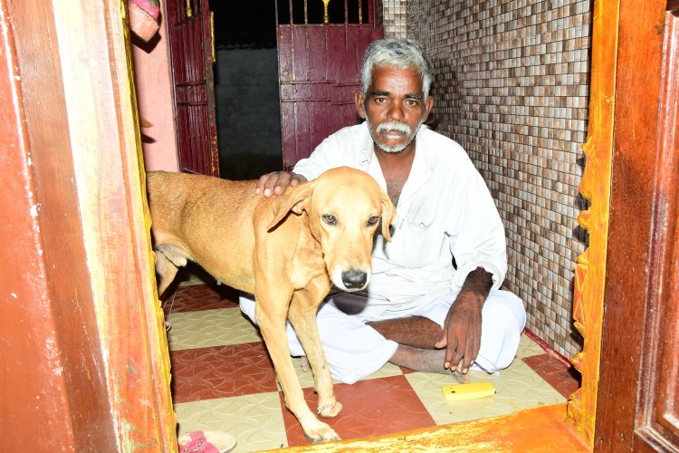 இறந்த செல்ல நாயை மனிதர்களைபோல் அடக்கம் செய்த நபர்!