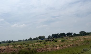 ரூ.200 கோடி மதிப்பிலான ஏரியை தனியாருக்கு பட்டா போட்டு கொடுத்த உத்தம அதிகாரிகள்! கலெக்டர் ரத்து செய்வாரா?