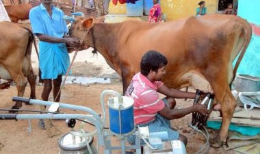 கொள்முதல் செய்யப்படும் பாலுக்கு ரூ.3 உயர்த்தி அறிவித்த முதல்வர்! டிச.18-ம் தேதி முதல் அமல்!!