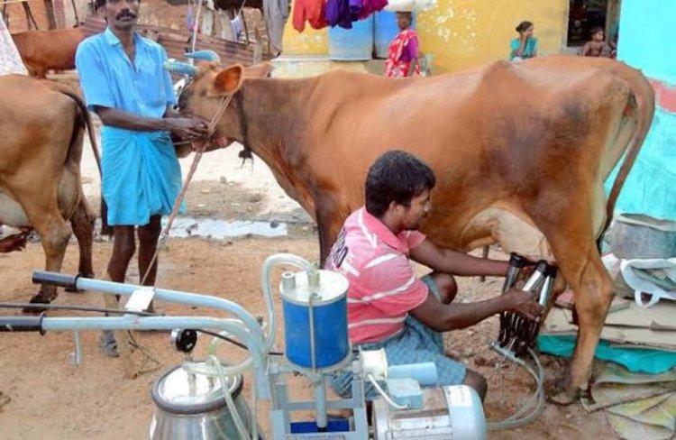 கொள்முதல் செய்யப்படும் பாலுக்கு ரூ.3 உயர்த்தி அறிவித்த முதல்வர்! டிச.18-ம் தேதி முதல் அமல்!!