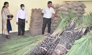 அனைத்து குடும்ப அட்டைதாரர்களுக்கும் பொங்கல் பரிசு ரூ.1000! முதலமைச்சர் அறிவிப்பு!