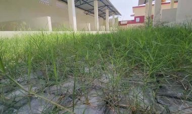 பயனற்று கிடக்கும் வாரசந்தை கட்டிடம்! குடிக்க பயன்படும் அவலம்!