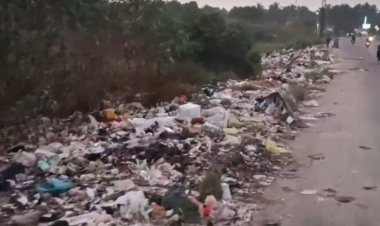 தேசிய நெடுஞ்சாலையின் ஓரம் கோழி இறைச்சி கழிவு! பொதுமக்கள் அவதி!