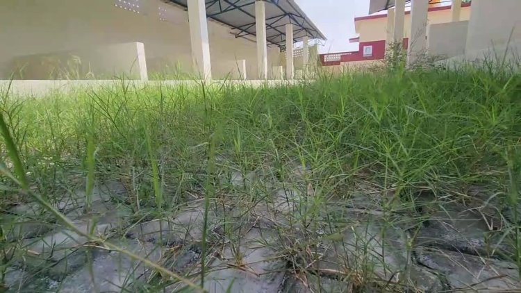 பயனற்று கிடக்கும் வாரசந்தை கட்டிடம்! குடிக்க பயன்படும் அவலம்!