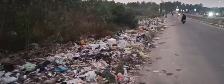 தேசிய நெடுஞ்சாலையின் ஓரம் கோழி இறைச்சி கழிவு! பொதுமக்கள் அவதி!