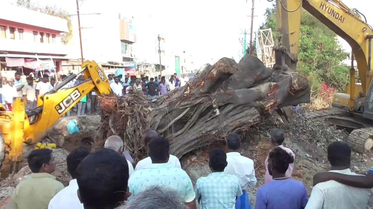 தனியார் கல்லூரியின் ஆக்கிரமிப்புக்கு துணை போகும் போலிசார்!! வெட்டப்பட்ட மரத்தை அரசு புறம்போக்கு இடத்தில் நட எதிர்ப்பு!!