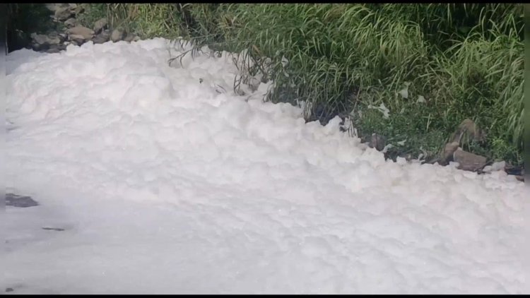 பாலாற்றில் கலக்கப்படும் இரசாயனகழிவு நீர்! வேடிக்கை பார்க்கும் மாசுகட்டுபாட்டு அதிகாரிகள்!