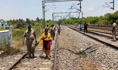 காடுகளே இல்லாத மயிலாடுதுறைக்கு சிறுத்தை வந்தது எப்படி? குழப்பமோ... குழப்பம்!