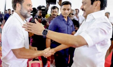 தடுப்பு சுவரை தாண்டி குதித்து ஸ்டாலினுக்கு மைசூர்பாக் வாங்கி கொடுத்த ராகுல்காந்தி!