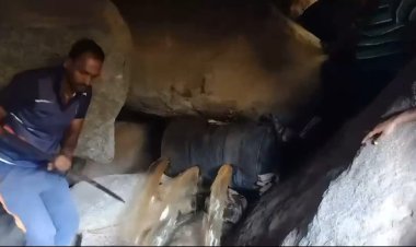 அழிக்க அழிக்க ஊற்றெடுக்கும் கள்ளச்சாராயம்!