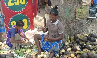 நோகாம நுங்கு திண்ண முடியுமா?