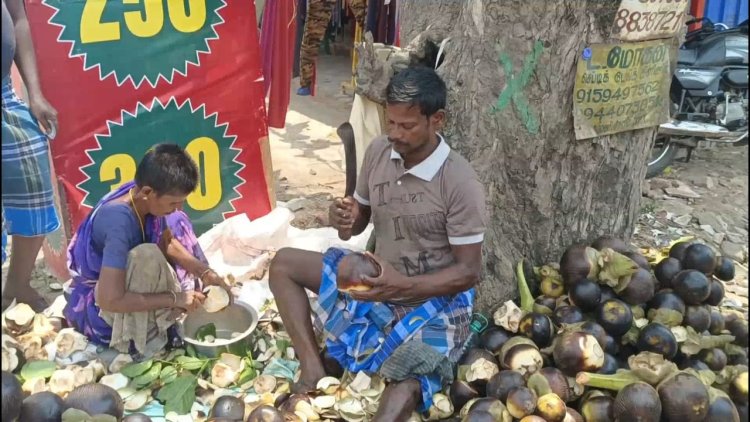 நோகாம நுங்கு திண்ண முடியுமா?