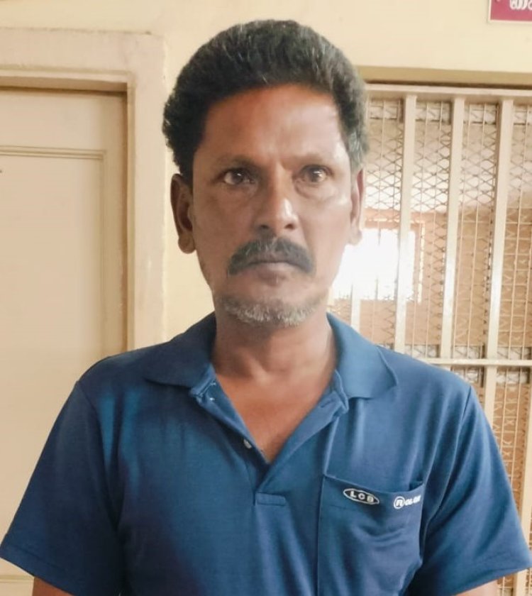 சந்தன மரங்களை கடத்தியவர் கைது!