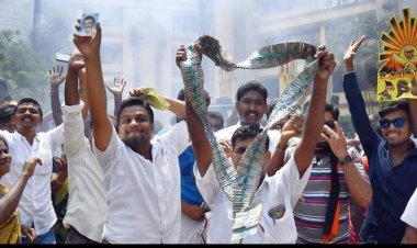 பட்டாசு சத்தம் மேலதாளம்... கலைகட்டும் அண்ணா அறிவாலயம்!