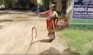 விஷபாம்பை சர்வசாதாரணமாக பிடித்து வெளியில் அனுப்பிய பெண்!
