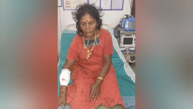 பெண்ணை கத்தியால் வெட்டிய இளைஞர்!