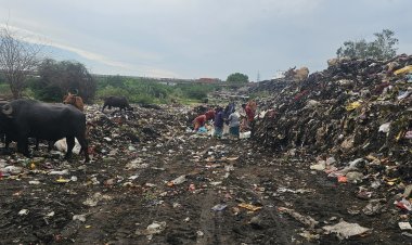 பாலாற்றில் சேமித்து வைக்கப்படும் இரசாயன குப்பை! மாநகராட்சி ஊழியர்களின் அடாவடி!