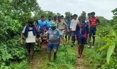 தமிழகத்தைச் சேர்ந்த பெண்ணை மகாராஷ்டிரா காட்டில் 40 நாட்கள் கட்டிவைத்து கொடுமை!