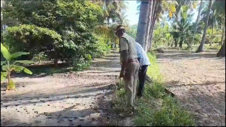 ஆடுகளை கடித்துக் கொன்ற சிறுத்தை! ஒருவேளை அதுதான் இதுவோ?!