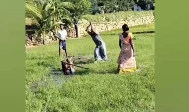 கட்டையால் பெண்ணை தாக்கிய பதற வைக்கும் சம்பவம்!