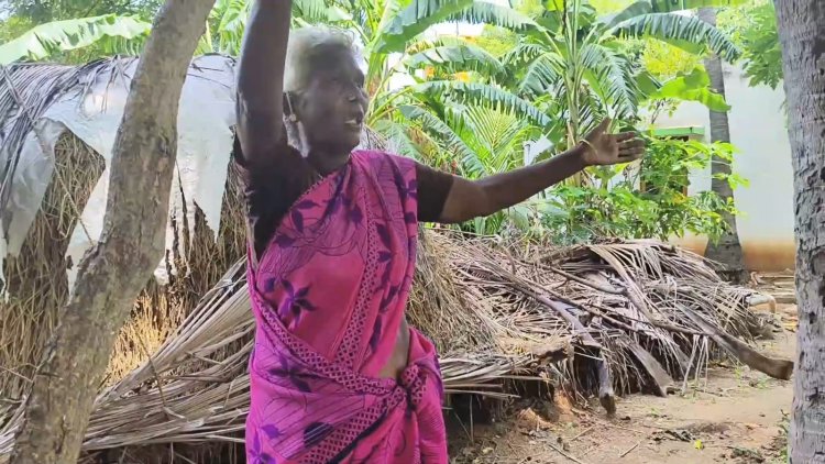 மூதாட்டியை கொட்டி கொலை செய்த குளவிகள்!