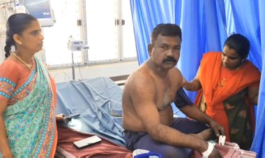 தேனீக்கள் கொட்டியதில் நான்கு பேர் மருத்துவமனையில் அனுமதி!