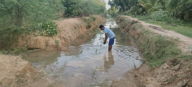 காவிரி நீர் எங்களை நனைத்து விட்டாள்! சமூக ஆர்வலர் மகிழ்ச்சி!