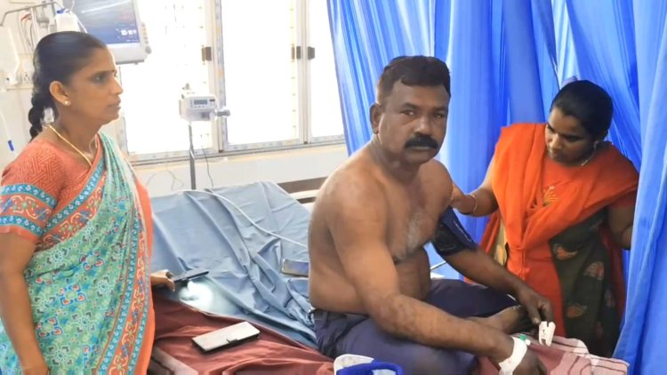 தேனீக்கள் கொட்டியதில் நான்கு பேர் மருத்துவமனையில் அனுமதி!