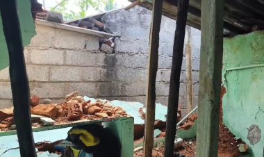 அதிர்ஷ்டவசமாக உயிர்தப்பிய தம்பதி!