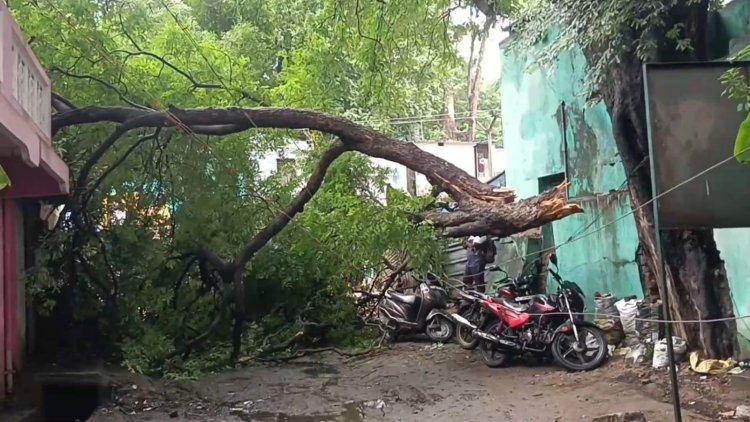 மின்வாரிய ஊழியர்களின் அலட்சியம்! வேலூர் திருப்பத்தூர் மாவட்டங்களில் பாதிப்பு!