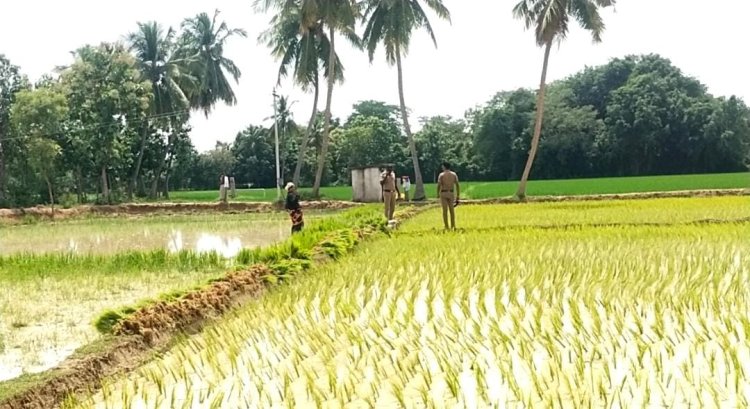ஆக்கிரமிப்பு அகற்றப்பட்ட குளத்தில் மீண்டும் நடவு பணி ஜோர்! மேற்பார்வையிட்ட போலீசார்!