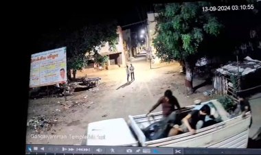 சரக்கு ஆட்டோவில் மாடுகள் கடத்தல்!