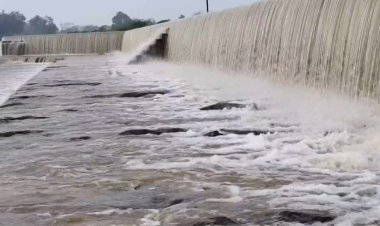 பாலாறு அணைக்கட்டு நிரம்பியது...பொதுமக்களுக்கு கலெக்டர் எச்சரிக்கை!