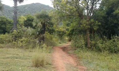 விற்பனைக்காக பதுக்கி வைத்திருந்த கஞ்சா பறிமுதல் ஒருவர் கைது!