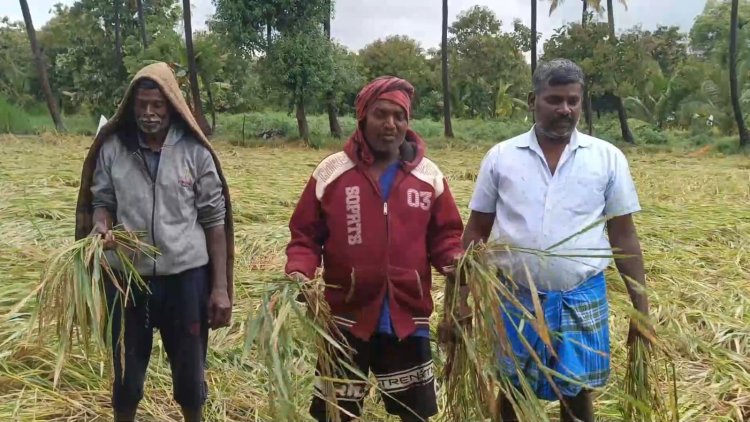 வடமாவட்ட விவசாயிகள் வேதனை!