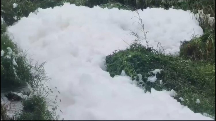 பாலாற்றில் இராசாயன கழிவு நீர் கலப்பு! டேய் நீங்க திருந்தவே மாட்டீங்களா?