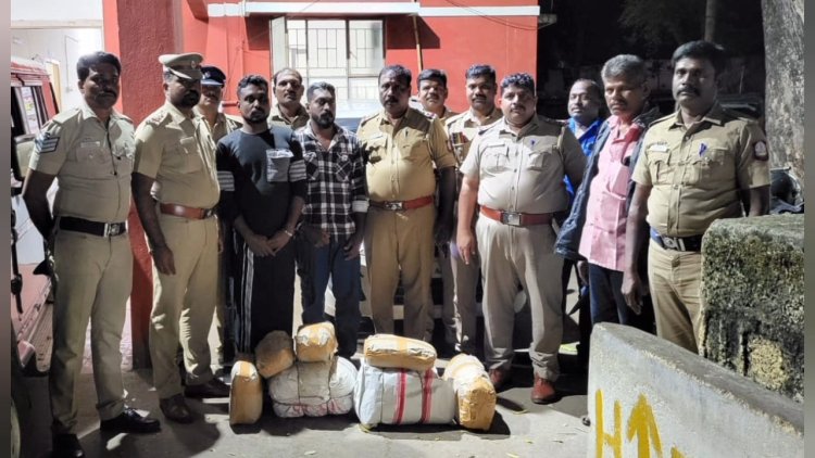 26.500 கஞ்சா பறிமுதல்! சோதனைச்சாவடியால் சிக்கினர்!